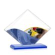 Griffith VividPrint™ Award - Blue | https://www.bestnamebadges.com