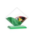 Griffith VividPrint™ Award - Green | https://www.bestnamebadges.com