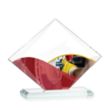 Griffith VividPrint™ Award - Clear | https://www.bestnamebadges.com