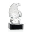 Fredricton Eagle Award on Hancock | https://www.bestnamebadges.com