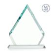 Apex Award - Jade | https://www.bestnamebadges.com