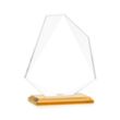 Picton VividPrint™ Award - Amber | https://www.bestnamebadges.com