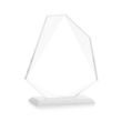 Picton Award - White | https://www.bestnamebadges.com