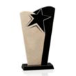 Lewes Award | https://www.bestnamebadges.com