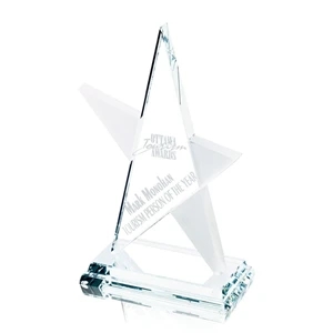 Abstract Star Award