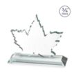Maple Leaf Award - Starfire | https://www.bestnamebadges.com