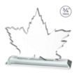 Maple Leaf Award - Starfire | https://www.bestnamebadges.com