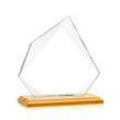 Lexus Award - Amber | https://www.bestnamebadges.com
