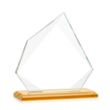 Lexus Award - Amber | https://www.bestnamebadges.com