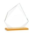 Lexus Award - Amber | https://www.bestnamebadges.com