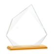 Lexus Award - Amber | https://www.bestnamebadges.com
