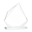 Lexus Award - Clear | https://www.bestnamebadges.com