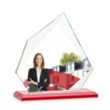 Lexus VividPrint™ Award - Red | https://www.bestnamebadges.com
