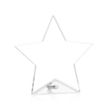 Polaris Star Award - Silver | https://www.bestnamebadges.com