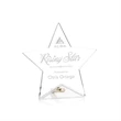 Polaris Star Award - Gold | https://www.bestnamebadges.com