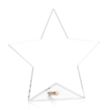 Polaris Star Award - Gold | https://www.bestnamebadges.com