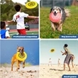 Flying Disc For Kids And Pets | https://www.bestnamebadges.com