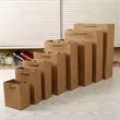 Kraft Paper Bag With Handle Gift Shopping | https://www.bestnamebadges.com
