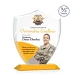 Scudo Shield VividPrint™ Award - Amber | https://www.bestnamebadges.com