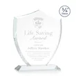 Scudo Shield Award - Clear | https://www.bestnamebadges.com