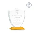 Scudo Shield Award - Amber | https://www.bestnamebadges.com