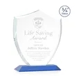 Scudo Shield Award - Blue | https://www.bestnamebadges.com