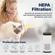 Mini HEPA Car Office Air Purifier | https://www.bestnamebadges.com
