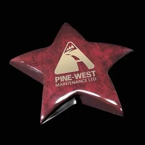 Elgin Star Paperweight | https://www.bestnamebadges.com