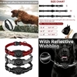 Outdoor Adjustable Comfortable Track Tag Dog/Pet Collar | https://www.bestnamebadges.com