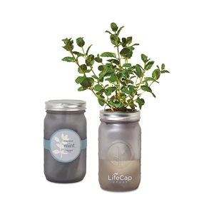 Modern Sprout® Indoor Herb Garden Kit | https://www.bestnamebadges.com