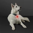 LED Dog Bone Safety Pet Light | https://www.bestnamebadges.com