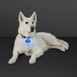 LED Dog Bone Safety Pet Light | https://www.bestnamebadges.com