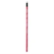 Polar Mood Pencil | https://www.bestnamebadges.com