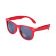 Blues Retro Style Sunglasses | https://www.bestnamebadges.com