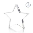 Standing Star VividPrint™ Award | https://www.bestnamebadges.com