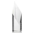 Vertex Award | https://www.bestnamebadges.com