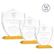 Scudo Shield Award - Amber | https://www.bestnamebadges.com
