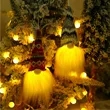 LED Christmas Gnomes Decorations | https://www.bestnamebadges.com