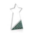 Taunton Award | https://www.bestnamebadges.com
