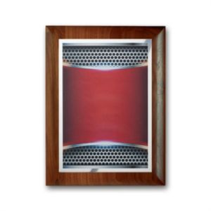 SpectraPrint™ Plaque - Rolled Edge Silver | https://www.bestnamebadges.com