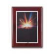 SpectraPrint™ Plaque - Mahogany Silver | https://www.bestnamebadges.com