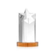 Berkeley VividPrint™ Award on Condor Base - Amber | https://www.bestnamebadges.com