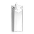 Berkeley Star Tower Award | https://www.bestnamebadges.com