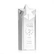 Berkeley Star Tower Award | https://www.bestnamebadges.com