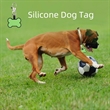 Round And Bone Shape Silicone Dog Tag | https://www.bestnamebadges.com