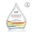 Dover VividPrint™ Award - Clear | https://www.bestnamebadges.com