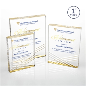 Chestham VividPrint™ Award - Gold | https://www.bestnamebadges.com