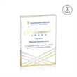 Chestham VividPrint™ Award - Gold | https://www.bestnamebadges.com