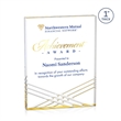 Chestham VividPrint™ Award - Gold | https://www.bestnamebadges.com
