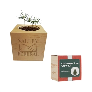 Sprigbox-Christmas-Tree-Grow-Kit
